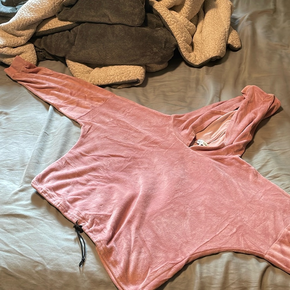 Fitz + Eddi Light Pink Velvet Cropped Hoodie